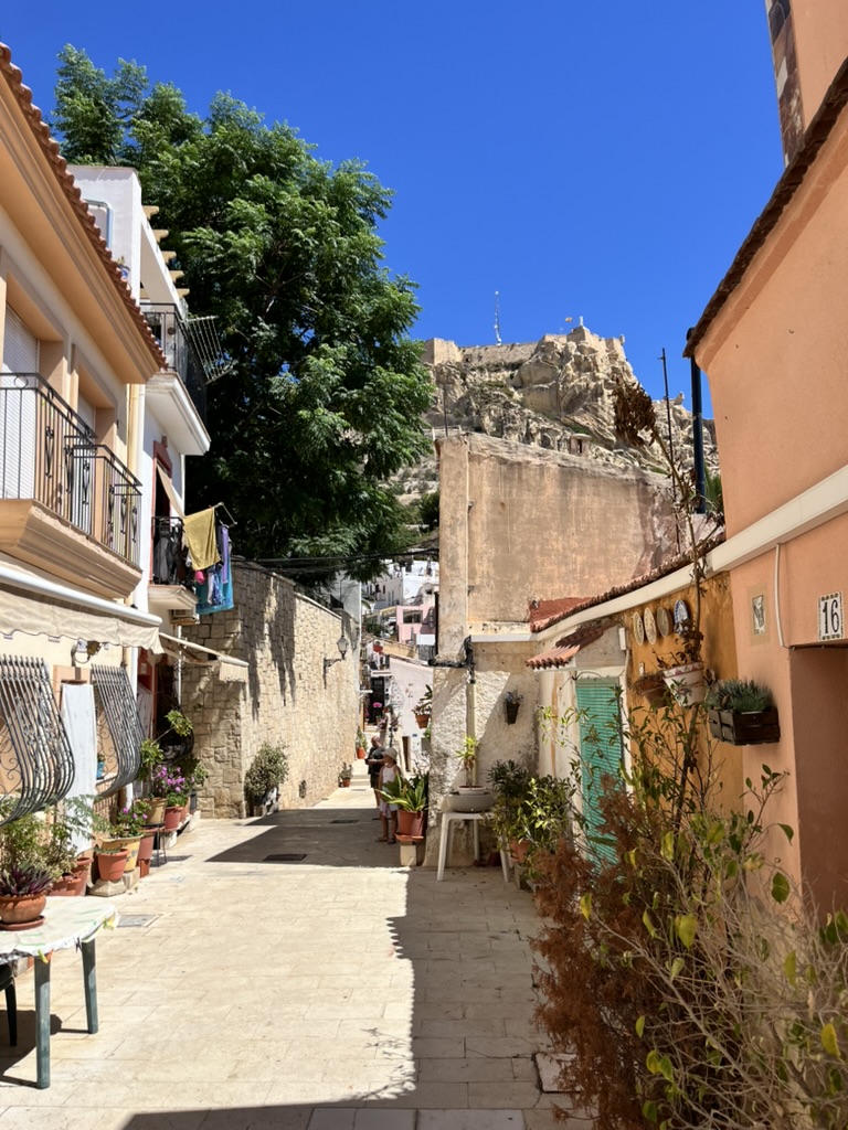 Charakterystyczne niebieskie donice z kwiatami