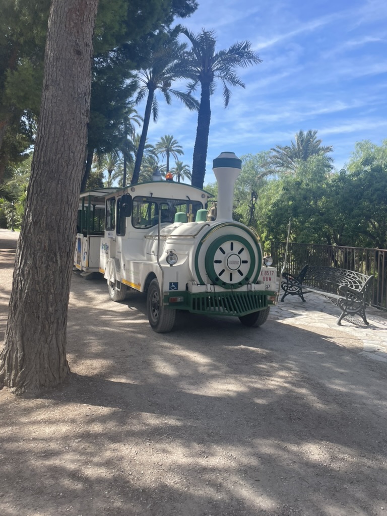 Palmeral de Elche - palmowy park miejski