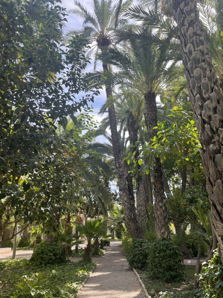 Palmowy park w Elche