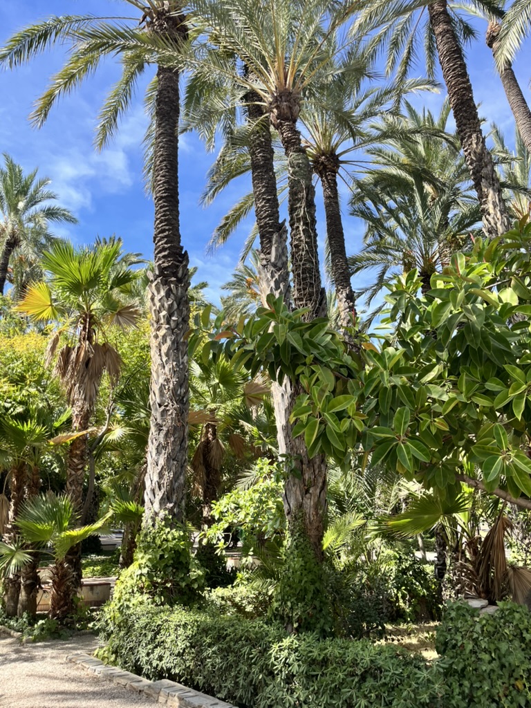 Palmowy park w Elche