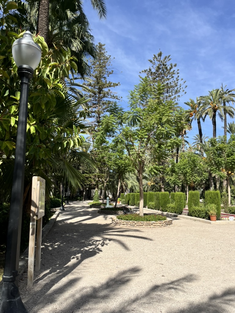 Palmowy park w Elche