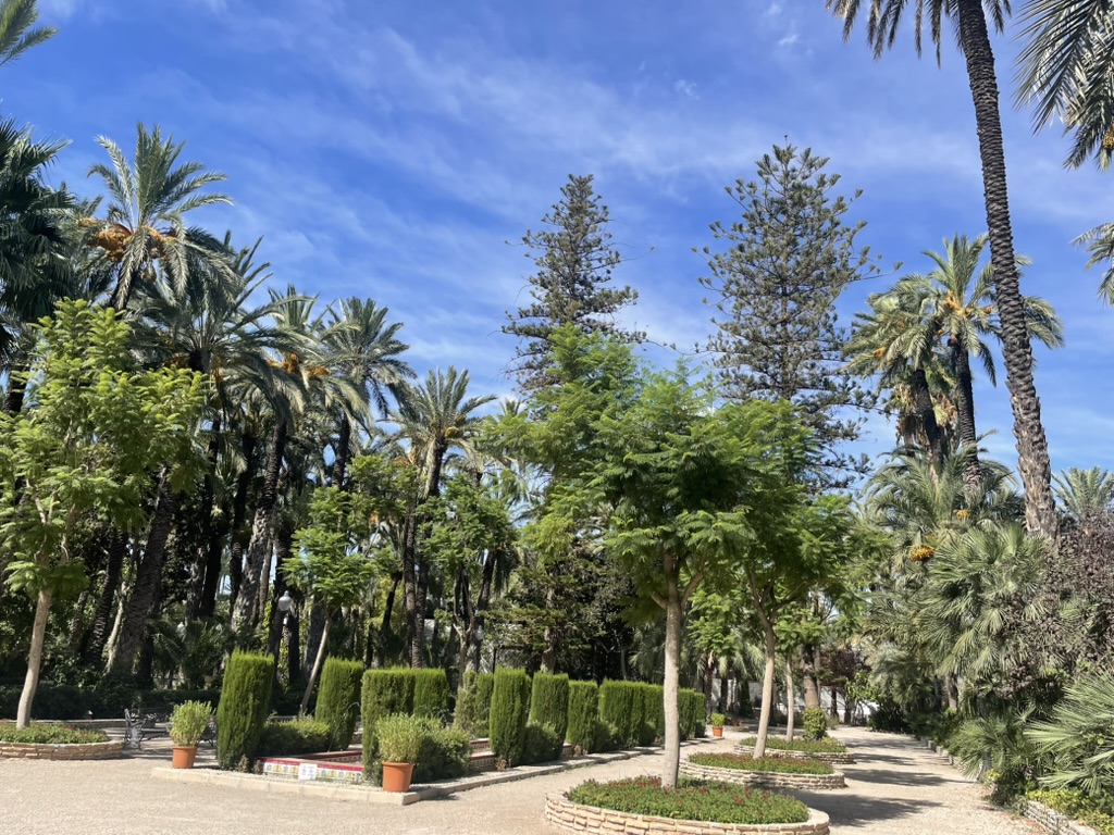 Palmowy park w Elche