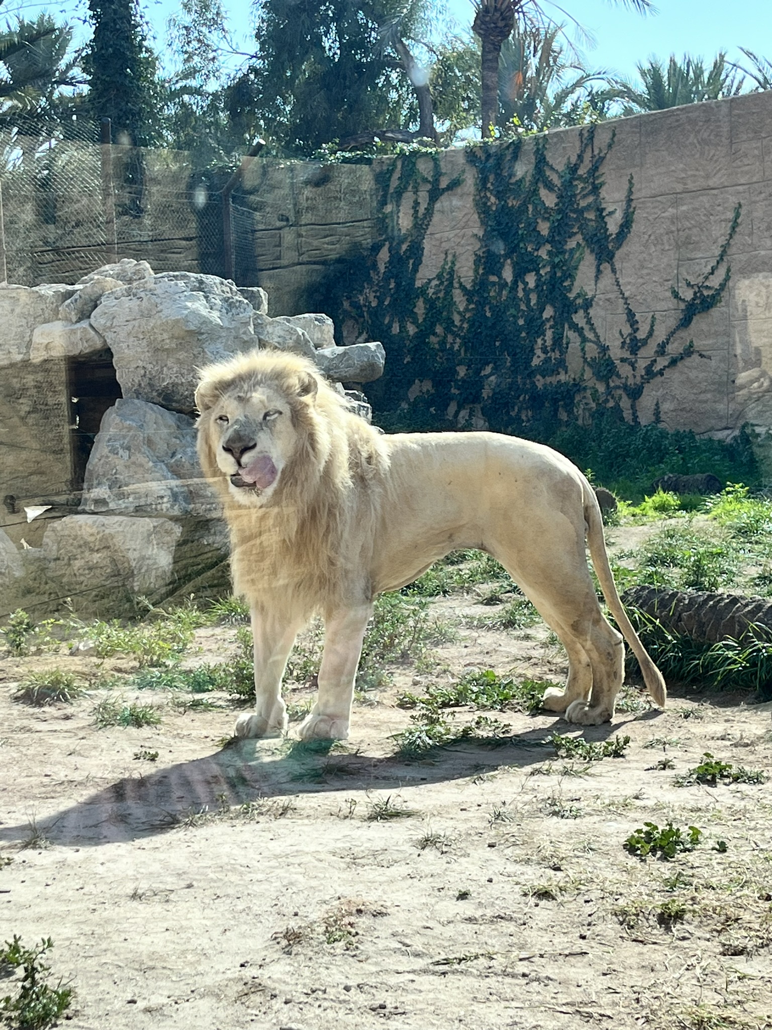 Rio Safari Elche - Safari w sercu Hiszpanii