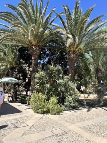 Panorama historycznego miasta Tabarca z fortyfikacjami i tradycyjnymi budynkami