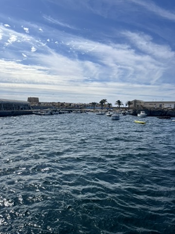 Dzika część wyspy Tabarca z naturalnymi skałami