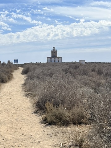 Dzika część wyspy Tabarca - naturalne piękno Costa Blanca z krystaliczną wodą