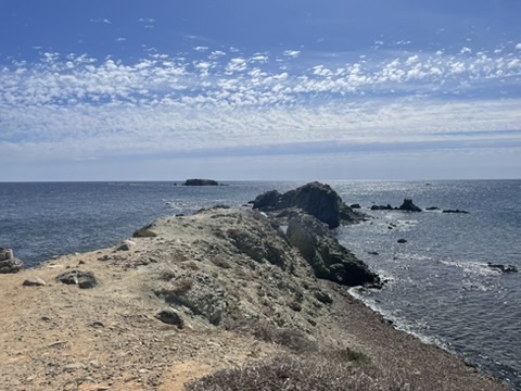 Naturalne wybrzeże dzikiej części wyspy Tabarca z przepięknymi widokami