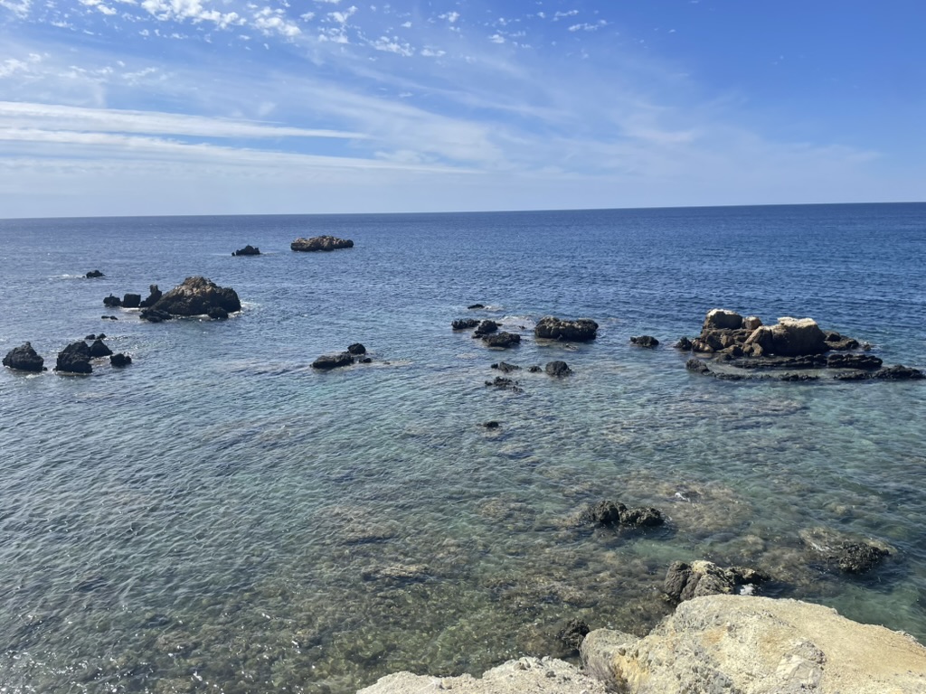 Dzika przyroda Tabarcy - magicznej wyspy z fascynującą historią i naturą