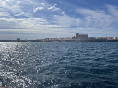 Łodzie w porcie Tabarcy - transport turystyczny na magiczną wyspę z fascynującą historią