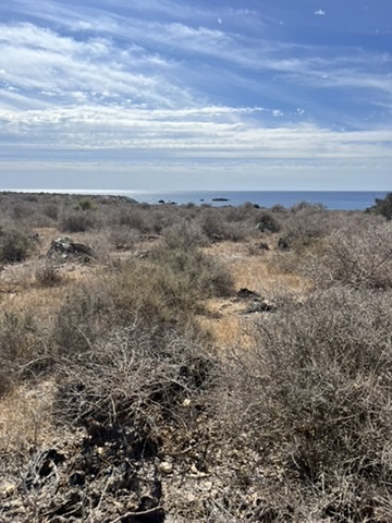 Dzika część magicznej wyspy Tabarca z naturalnymi skałami i turkusową wodą