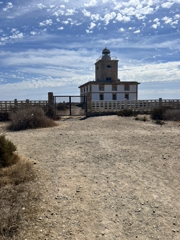 Nietkniętej przez człowieka natura dzikiej części Tabarcy - perły Costa Blanca