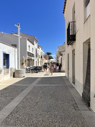 Historyczne miasto Tabarca z fortyfikacjami z XVIII wieku i białymi domkami