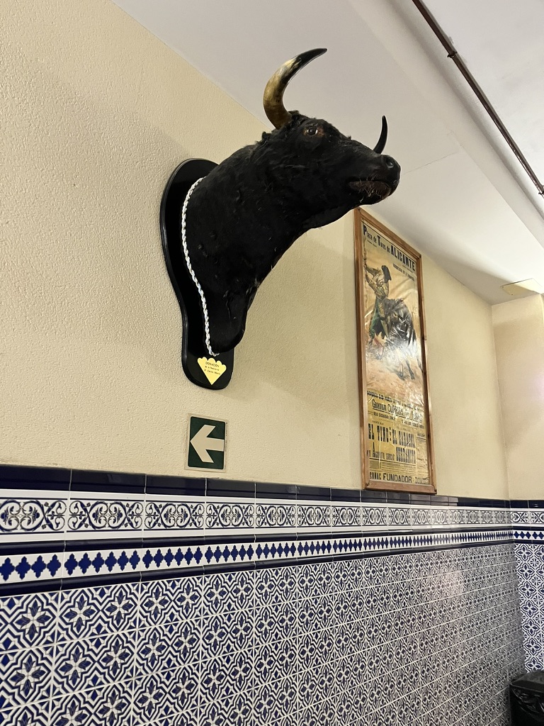 Plaza de Toros Alicante