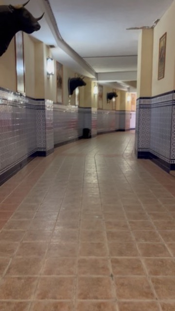 Plaza de Toros Alicante