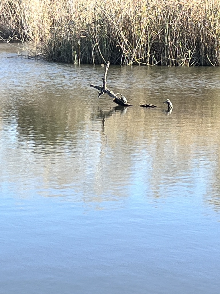 Ścieżki edukacyjne