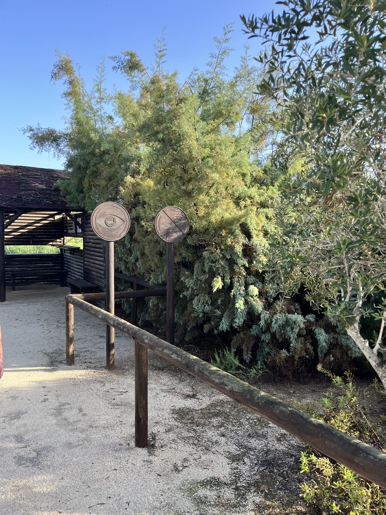 Clot de Galvany: Nature Reserve Near Gran Alacant