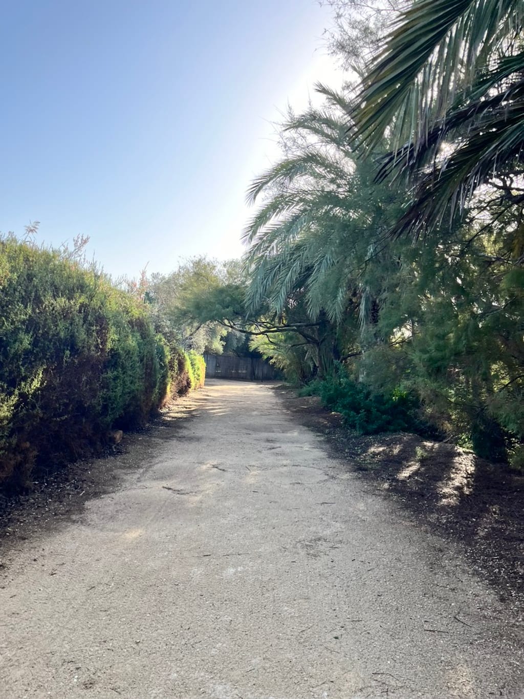 Hiking trails at Clot de Galvany nature reserve near Gran Alacant