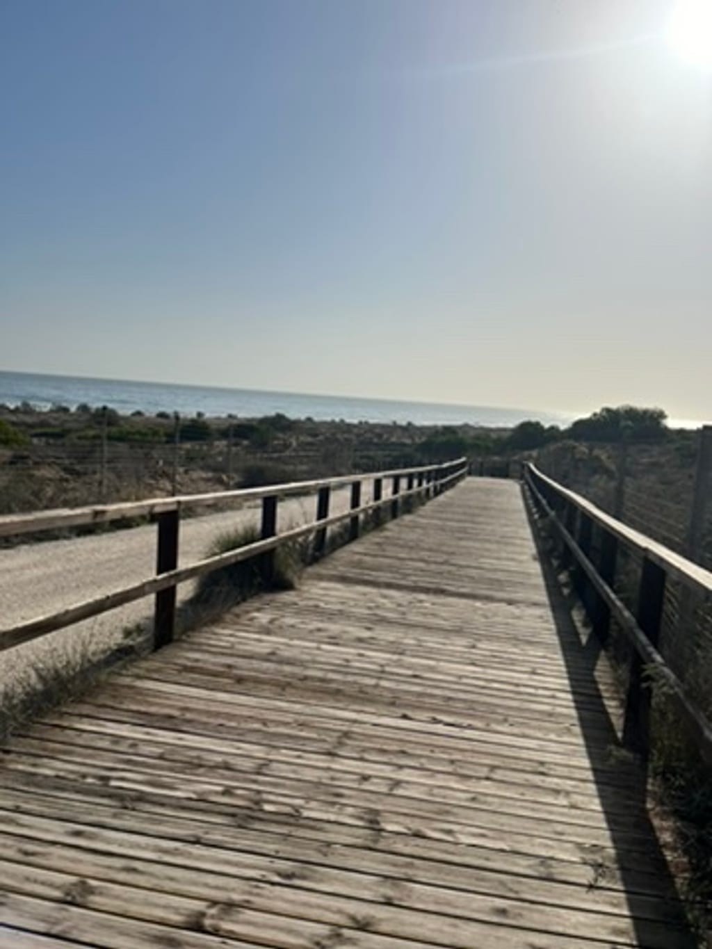 Guardamar del Segura beaches — wide natural sands backed by pine dune forest