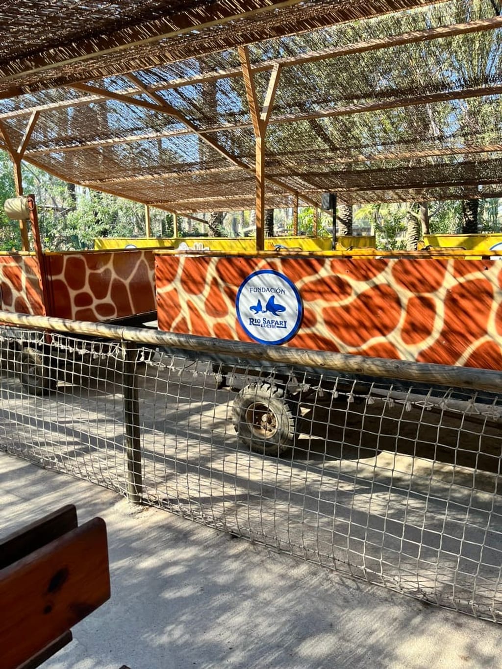Zwierzęta sawanny w Rio Safari Elche