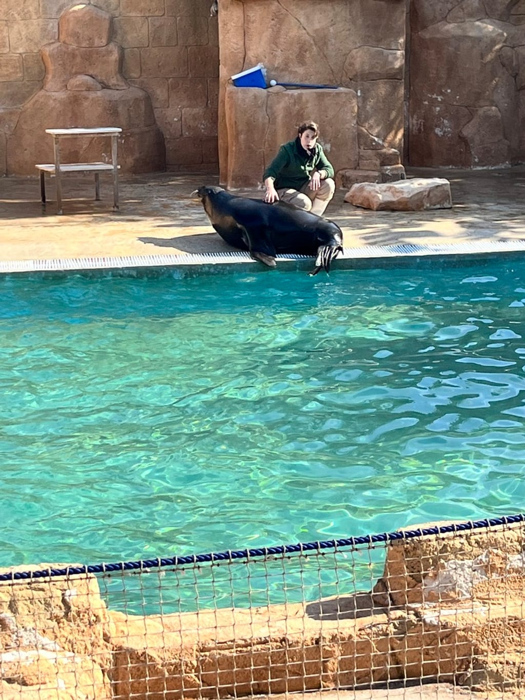 Safari samochodem w Rio Safari Elche